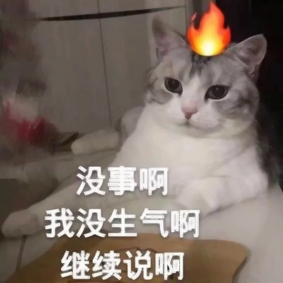 猫猫头像可爱