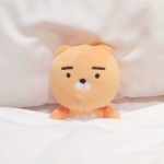 床上睡觉的超萌可爱布偶头像图片