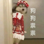 PS哈士奇搞笑头像高清图片