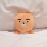 爱睡觉的玩偶可爱头像图片