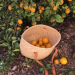 朋友圈背景图片2024最新森系头像