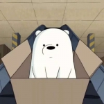 动漫高清可爱白棕熊情头图片