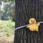 微信个性可爱有趣头像图片